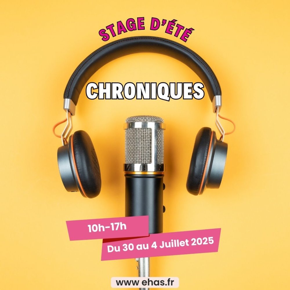 photo de Stage Chroniques