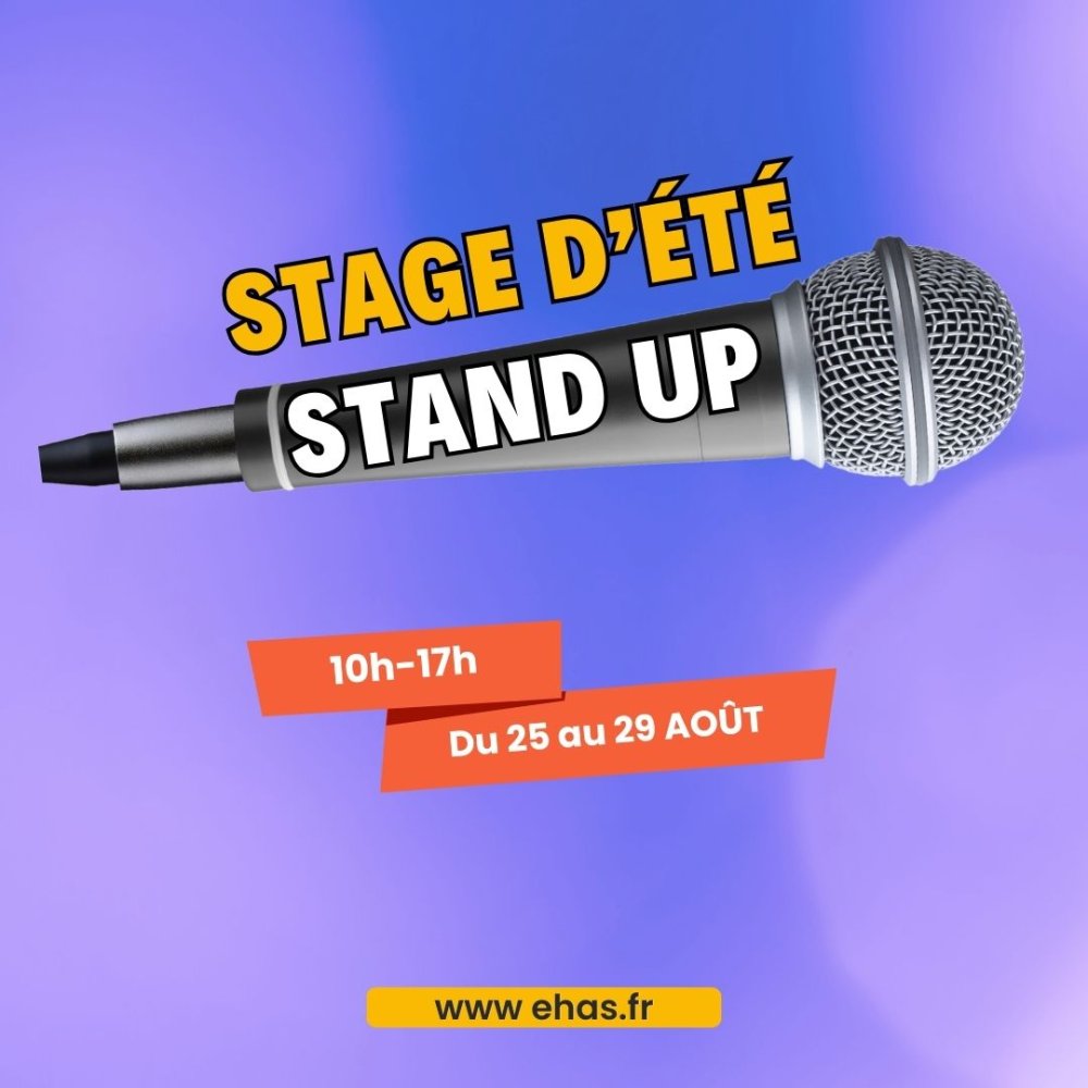 photo de STAND-UP : Ecriture et efficacité comique