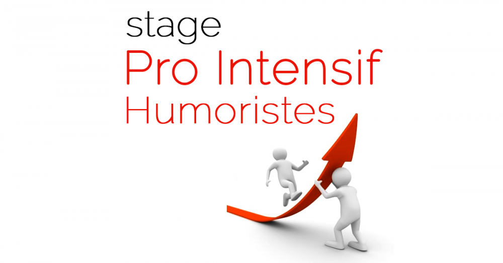 photo de Stage « Pro Intensif Humoristes »